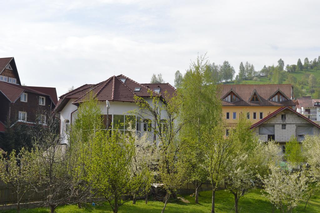 Pensiunea Ando Bran  Exteriör bild
